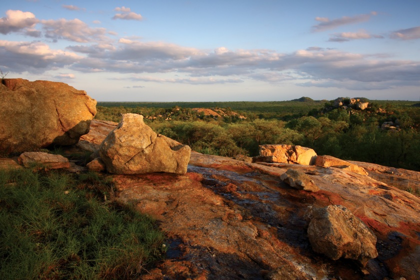 Kruger National Park concession